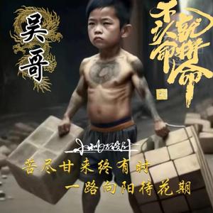 销售高端品牌信胜绣花机头像