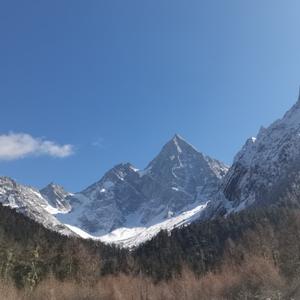 橘子的平凡岁月头像