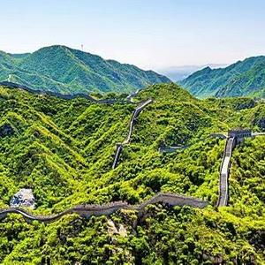 宝德林头像