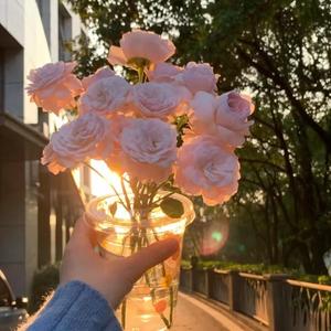 一心向阳头像