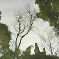 离了栀头头像