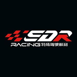 SDR特殊驾驶权利头像