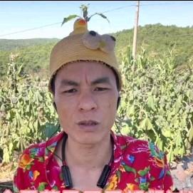 欢子表哥带你一起快乐头像