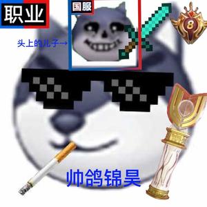 帅鸽锦昊头像