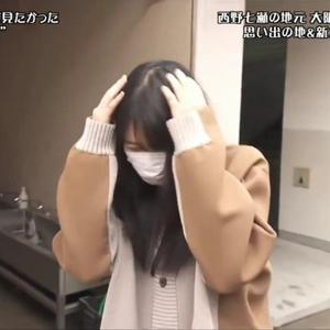 南歌EuanSu头像