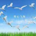 我心飞翔179551662头像