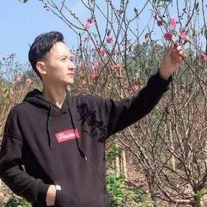 阿锋磨坊头像