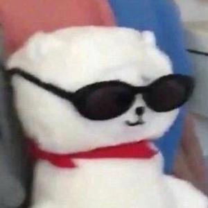翠小花花头像