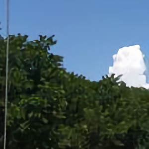 西北砺客头像