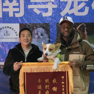 寻猫找狗柯南寻宠服务全国中心头像
