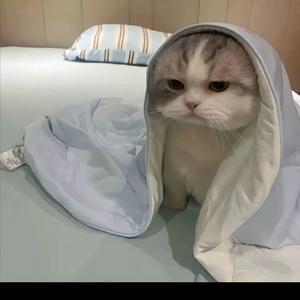 小江看生活 头像