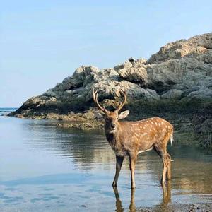 海峰纪实日记头像