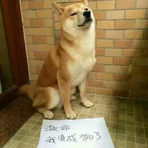 十三看世界头像