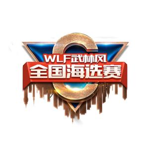 九门-武林风（中国）训练基地-青少年搏击头像