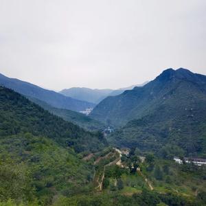 LZ科技改变生活头像