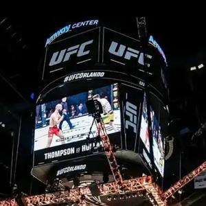 UFC综合格斗锦头像