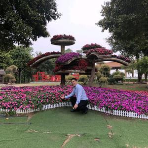 顺德碧桂园豪宅专家周仔头像