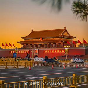 单纯的包子头像