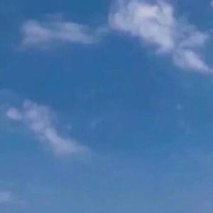 宰夏朗头像