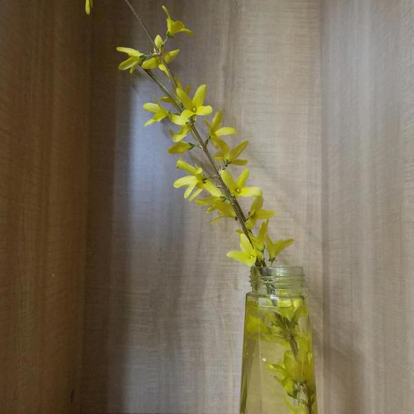 生活大博士头像