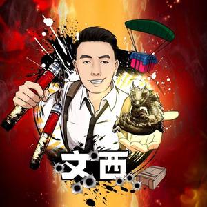 文西不会游戏解说头像