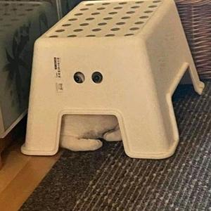 自信海伦6h1头像