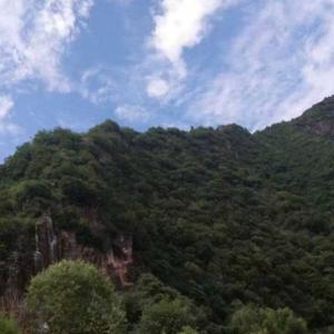 中原教育文萃头像