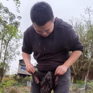 云阳护农江北队阿伟头像