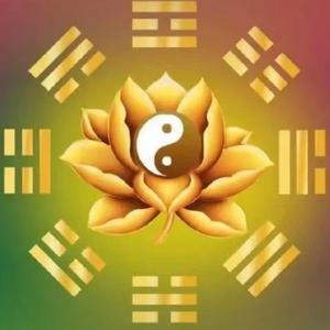 凌霄头像