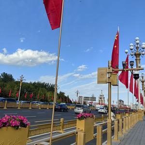 小棠满头像