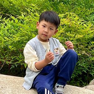艺木澄水头像