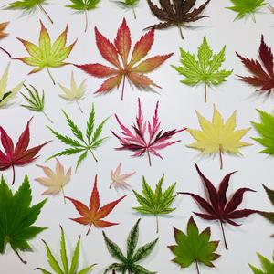 七彩水沙头像
