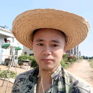 乡愁春城头像