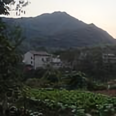 小小汪同志头像