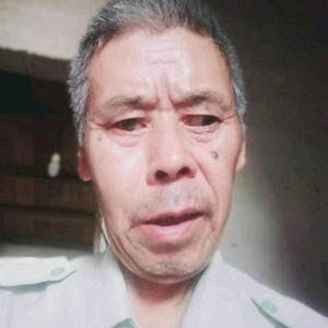 快乐旭日头像