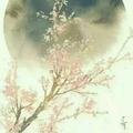 浮花生梦头像