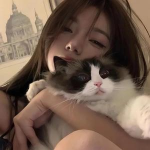 小陈故事头像