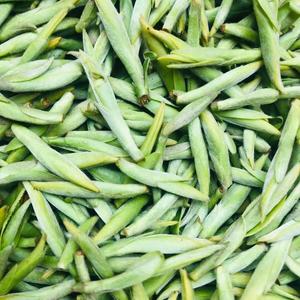 刘好茶叶头像