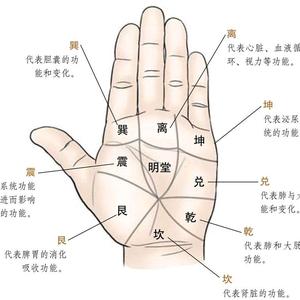 李老师古法手部按摩头像