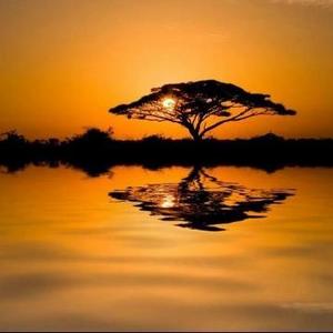 夕阳说头像