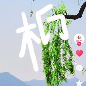 柳树先生头像
