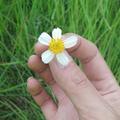 孟梅小伙头像
