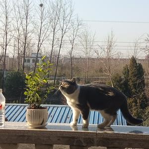 失业的小吴头像