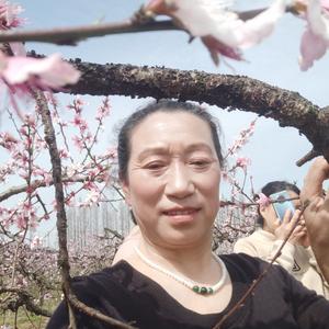 清萍头像