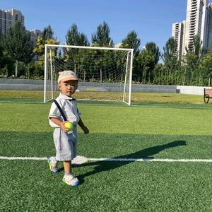 大道至简头像
