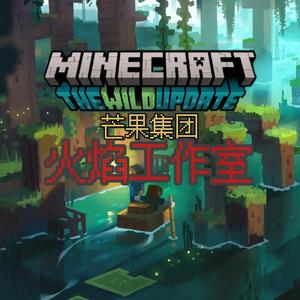 方哥玩Minecraft头像