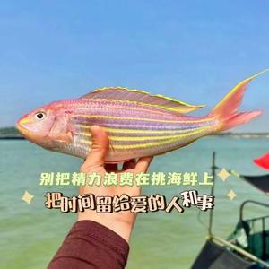 渔村阿福头像