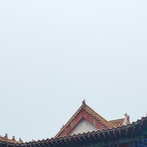 方外的VP来者头像