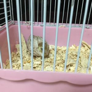 悠闲安德里亚7d 头像