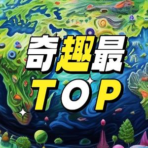 奇趣最TOP头像